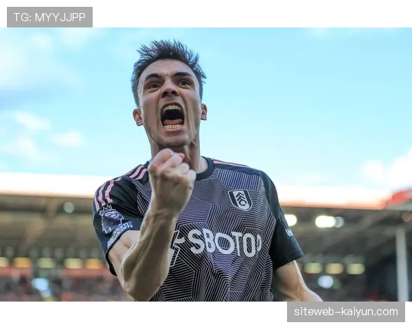 斯特拉斯堡进攻体系围绕帕尼切利构建 射门权限最大化